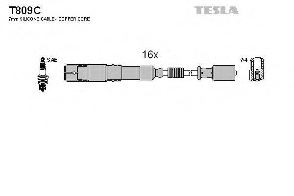 TESLA T809C Комплект дротів запалення